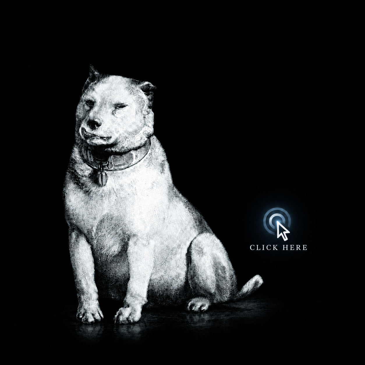 Pavlov's Dog – Progressive Rock Band
